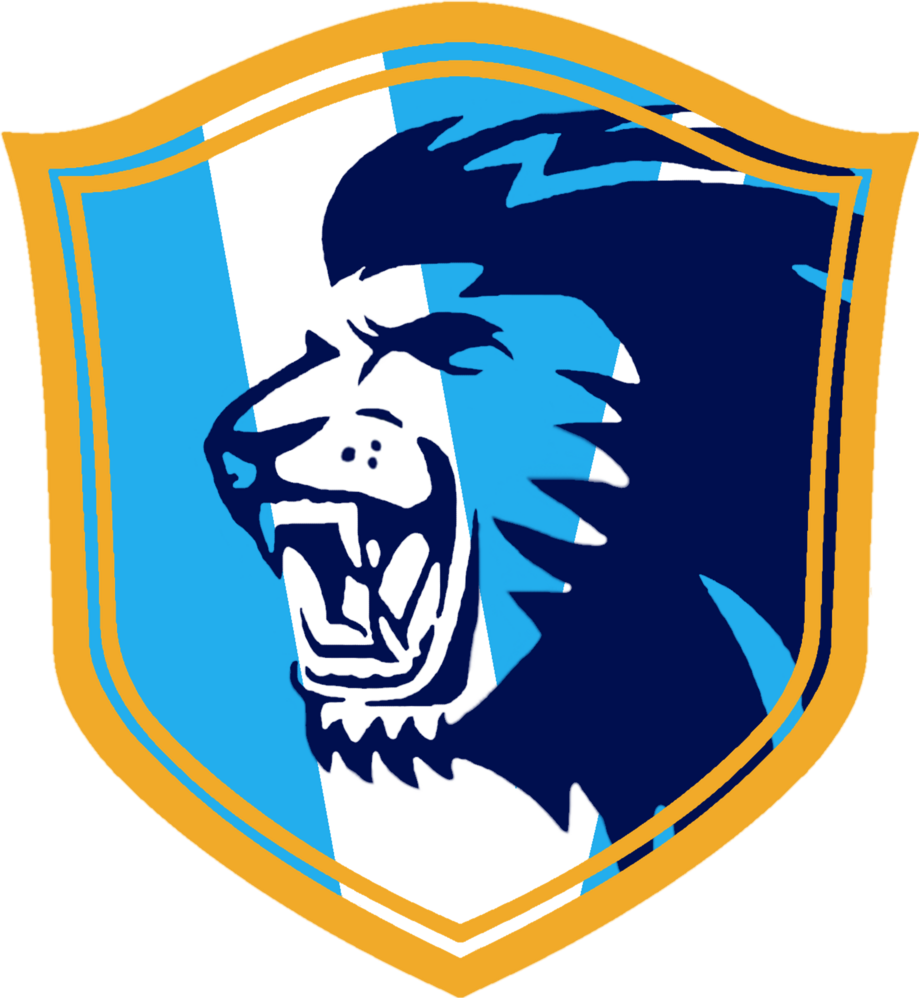 Vigonovo Calcio